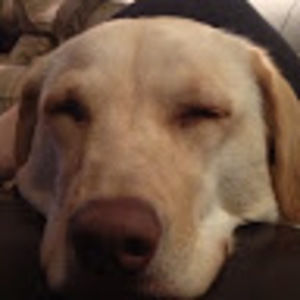 Meet your Posher, Dana